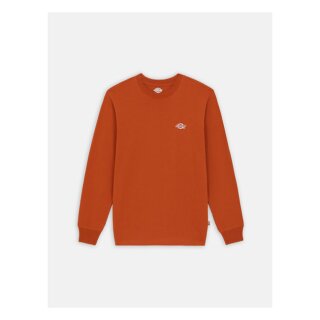Dickies Summerdale longsleeve bombay brown