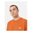 Dickies Summerdale longsleeve bombay brown