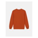 Dickies Summerdale longsleeve bombay brown