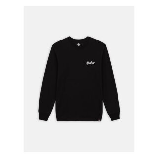 Dickies Dighton longsleeve t-shirt black