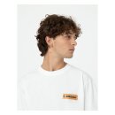 Dickies Paxico t-shirt white
