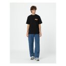 Dickies Paxico t-shirt black
