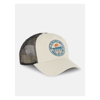 Dickies Greensburg cap whitecap gray