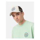 Dickies Greensburg cap whitecap gray