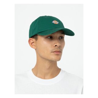 Dickies Hardwick cap aventurine