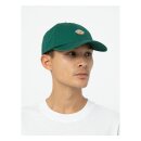Dickies Hardwick cap aventurine