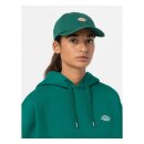 Dickies Hardwick cap aventurine
