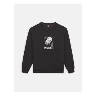 Dickies Garden plain sweatshirt black