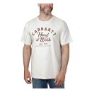 Carhartt Relaxed Fit t-shirt malt