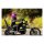 Biltwell Gringo SV helmet metallic grape