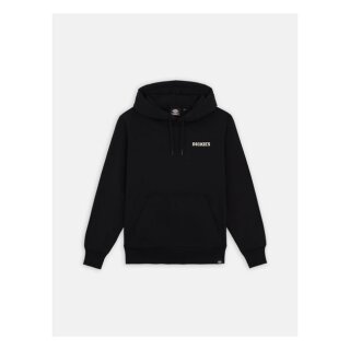 Dickies Hays hoodie black