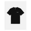 Dickies Hays t-shirt black