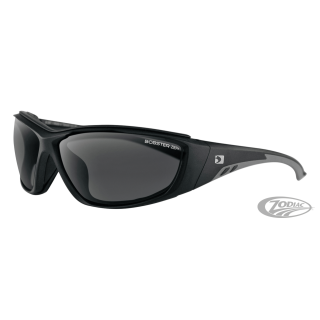 Rider Matte Black Frame Smoked Lens