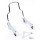 Det. Sissy Bar Shorty Chrome FXBB18-Up