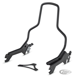 Det. Sissy Bar Standard Black FLFB18-Up