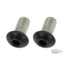 Point Cvr Bolts Matt Blk BT18-Up