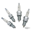 Set of 4 Champion Sparkplugs RG6HCC