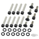 Prim. Cover Bolts Matt Blk BT70-84