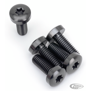 Brake Rotor RR Bolts Titanium Black