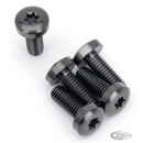 Brake Rotor RR Bolts Titanium Black