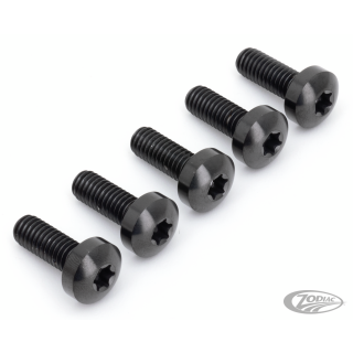 Brake Rotor FR Bolts Titanium Black