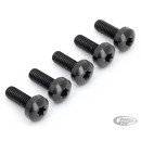 Brake Rotor FR Bolts Titanium Black