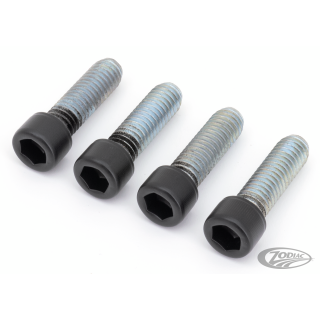 Foot Pegs DR Bolts Matt Blk XL04-22