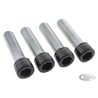Foot Pegs DR Bolts Matt Blk ST18-Up