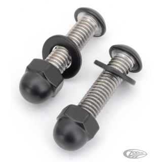 Foot Pegs Bolts Matt Blk Male Mount