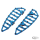 Ness-MX DR Floorboards Blue ST18-Up