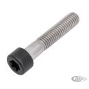 Axle Clamp Screw Matt Blk RA21-Up RH21-u