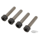 FR Fender Bolts Matt Blk 975RH21-Up