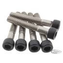 Fuel Cap Bolts Matt Blk 1250RH21-Up