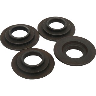 Valve Spring Collar Lower Set 1