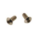 Aircleaner Screw Kit Supplied are 2 screws Stainless Steel