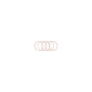 Derby Cover O-Ring Pack 5