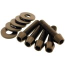 Sprocket/Pulley Screw Kit 5 Conical Allen Head Screws, 5...