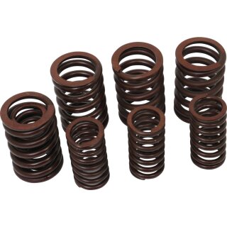 Valve Spring Kit Set of 4 Inner and Outer Valve Springs