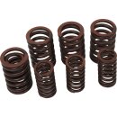 Valve Spring Kit Set of 4 Inner and Outer Valve Springs
