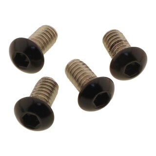 Headlamp-/Fork Cover Screw Kit Gloss Black Powder Coated