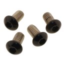 Headlamp-/Fork Cover Screw Kit Gloss Black Powder Coated
