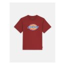 Dickies Icon Logo t-shirt fired brick