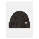 Dickies Garnett Fisherman beanie black