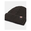 Dickies Garnett Fisherman beanie black