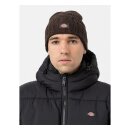 Dickies Hoxie beanie java