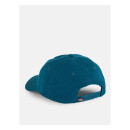 Dickies Hardwick cap reflecting Pond