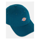Dickies Hardwick cap reflecting Pond