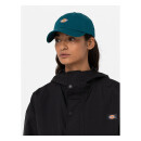 Dickies Hardwick cap reflecting Pond