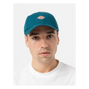 Dickies Hardwick cap reflecting Pond