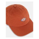Dickies Hardwick cap bombay brown